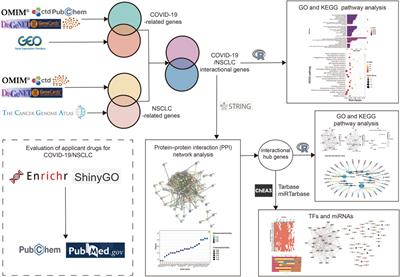 Bioinformatics and System Biology Approach to Reveal the Interaction Network and the Therapeutic Implications for Non-Small Cell Lung Cancer Patients With COVID-19